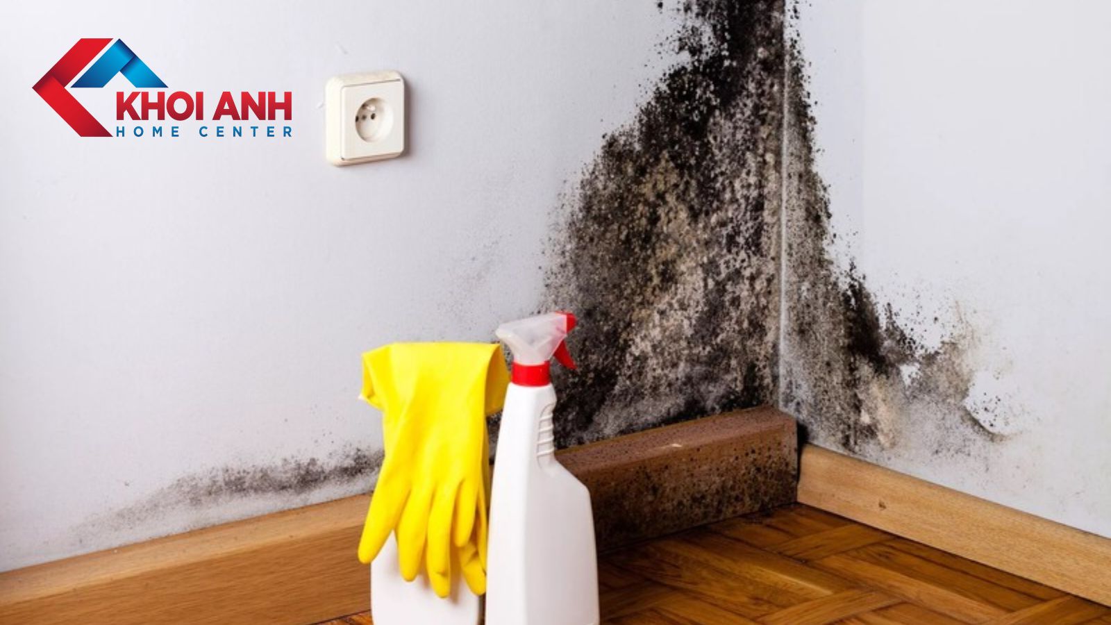 Tường bị ẩm mốc phải làm sao? 9 cách xử lý hiệu quả, ít tốn kém nhất