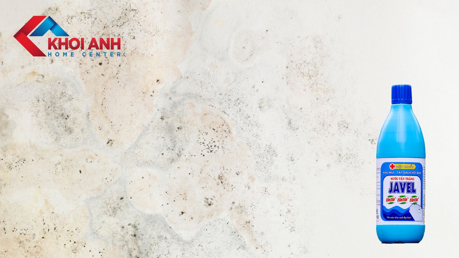 Tường bị ẩm mốc phải làm sao? 9 cách xử lý hiệu quả, ít tốn kém nhất