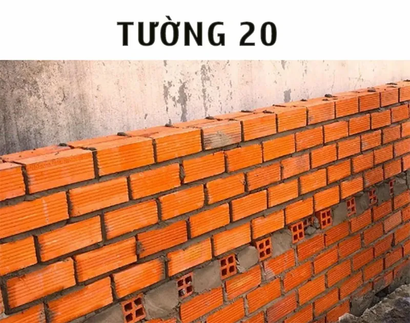 Tìm hiểu về tường 20 là gì?