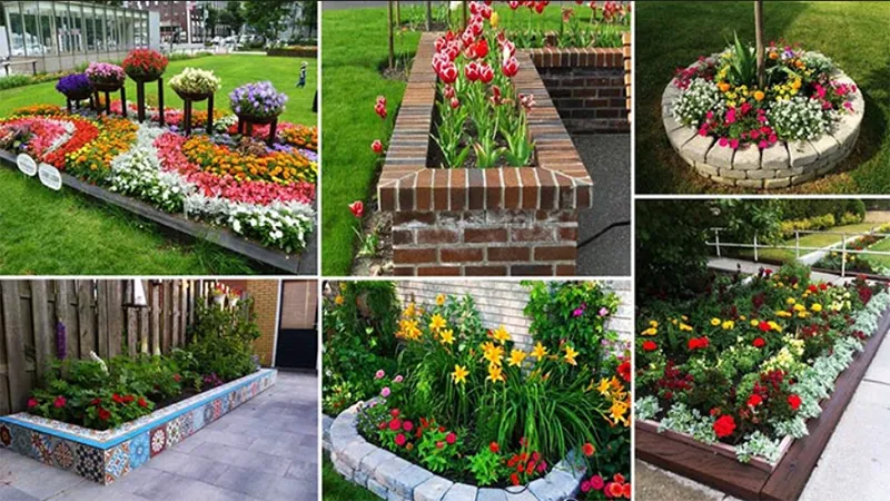 Gợi ý cây trồng viền bồn hoa và cách thiết kế bồn hoa đẹp